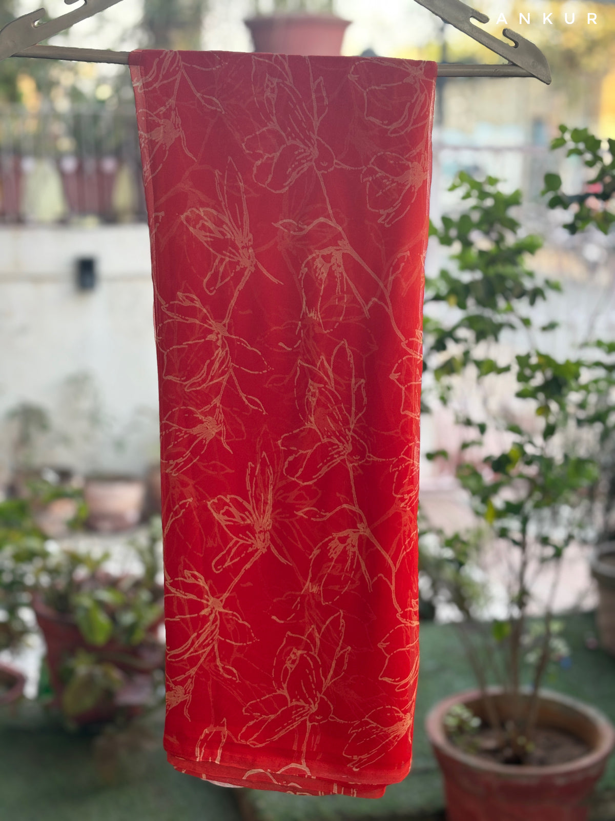 Red Peach Double Shaded Rajwadi