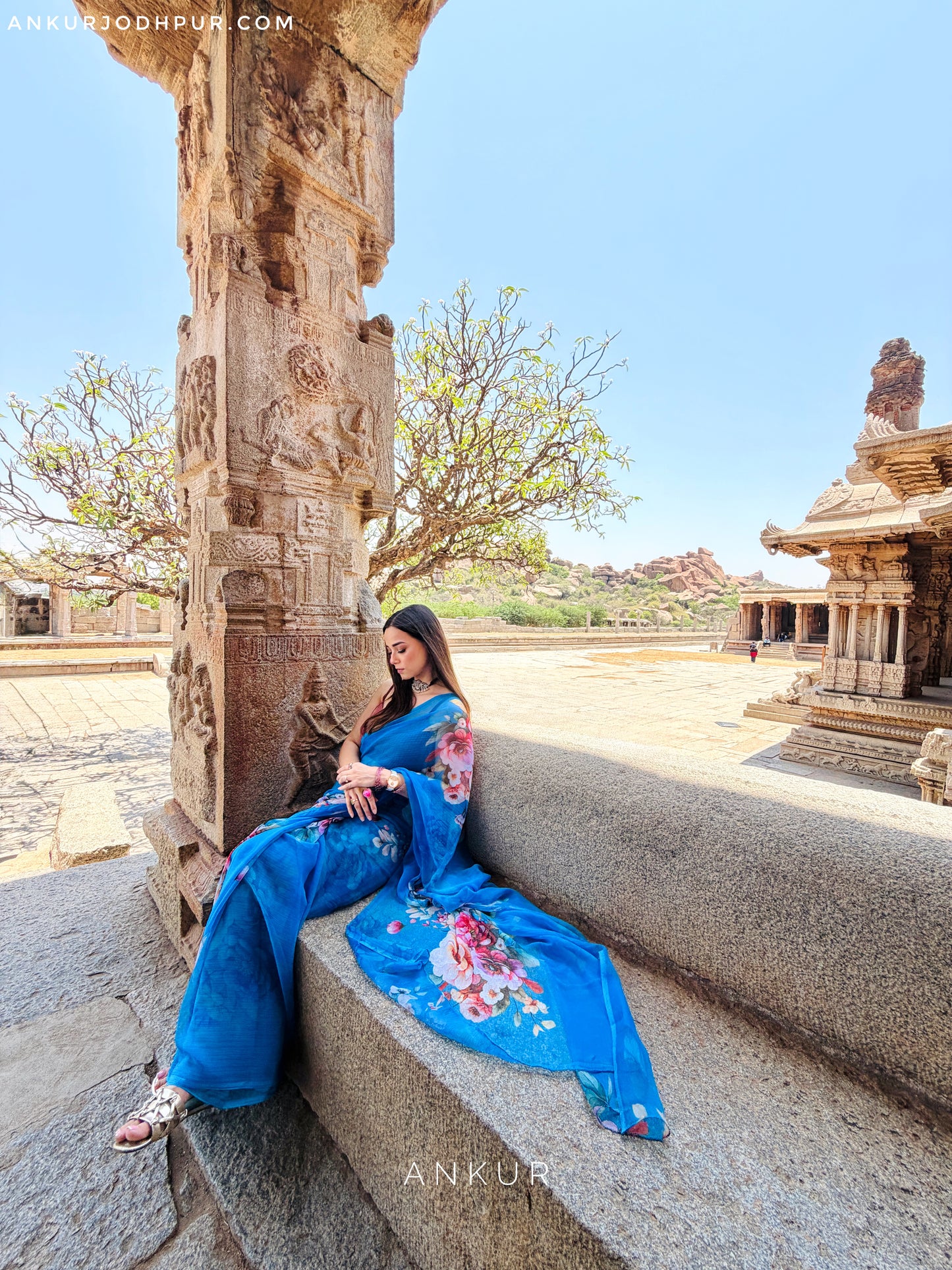 New Blue Vintage Isha Chiffon