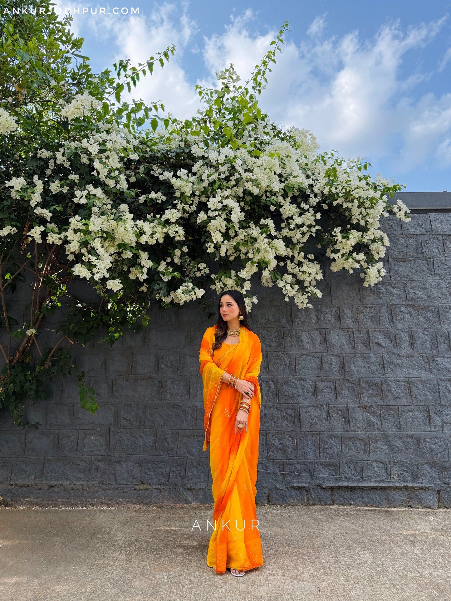 Kesariya Rajshree Tipki 2.0 ( with blouse )