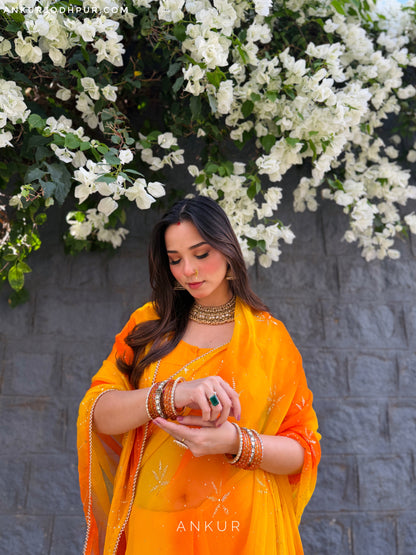 Kesariya Rajshree Tipki 2.0 ( with blouse )