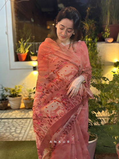 Blush Meadow Vintage Isha Chiffon