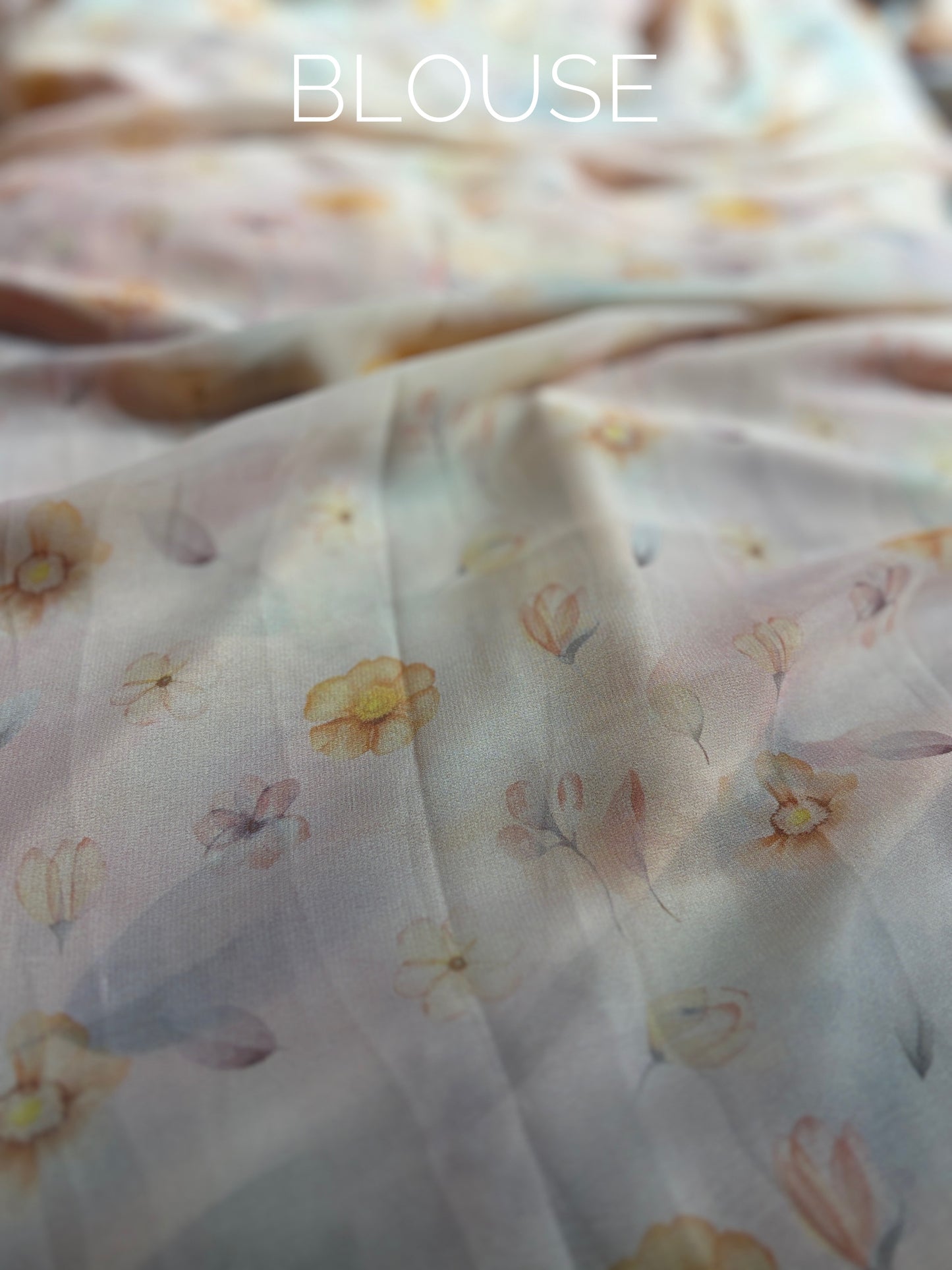 Noor-e-Gulab Latika 2.0 Saree